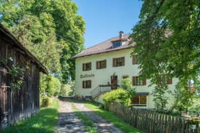 Sallrain Hof Apartment 1 Renon